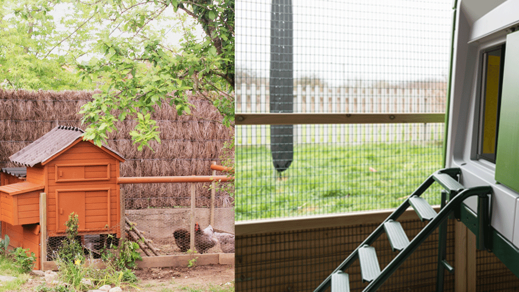 Deux poulaillers côte à côte montrant la différence entre bois et plastique recyclé