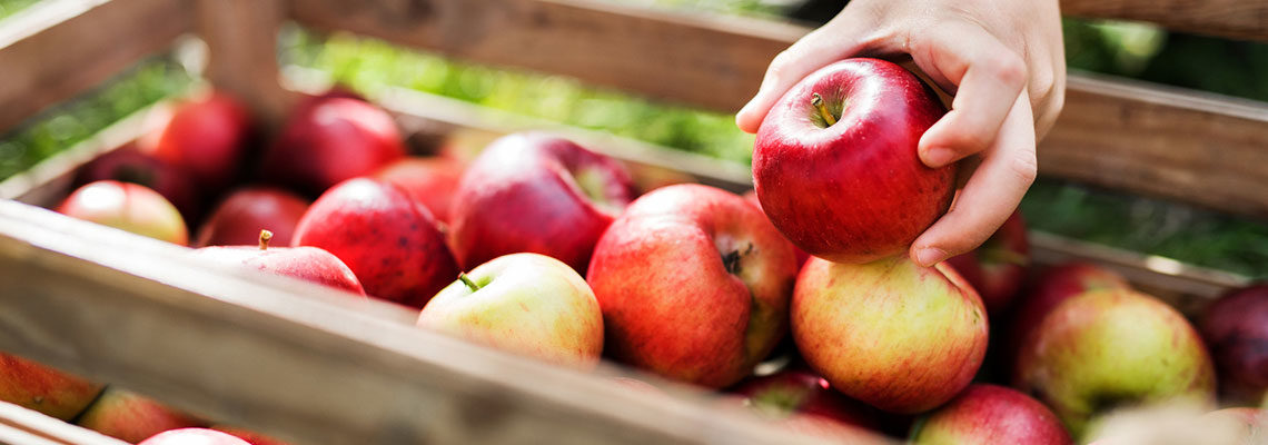 Quercétine pomme