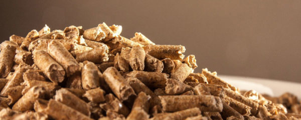granules de bois