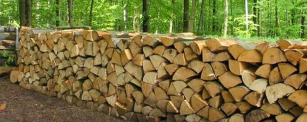 bois de chauffage