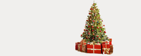 sapin de noël