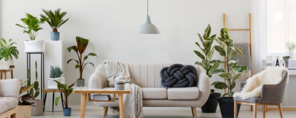 déco cocooning