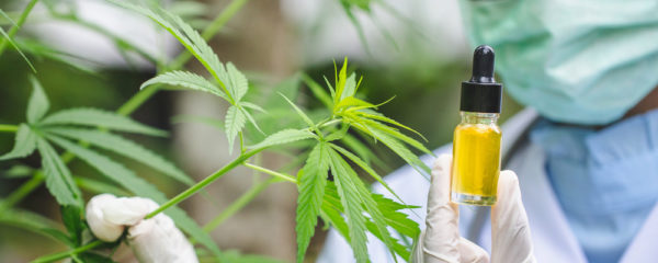 CBD