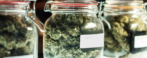fleurs de CBD