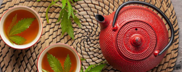 tisane au cbd