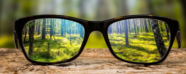 lunettes
