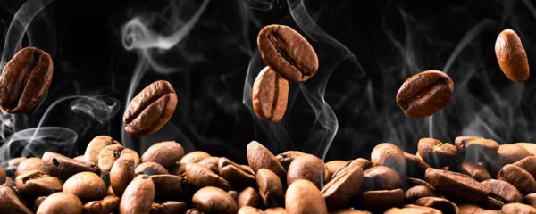 Café en grain de qualité