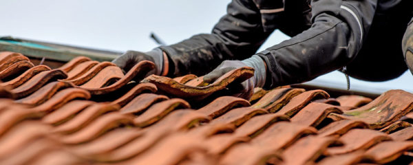 rénovation de toiture