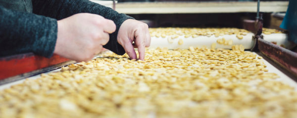 fabricants de fèves