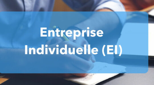 Entreprise Individuelle