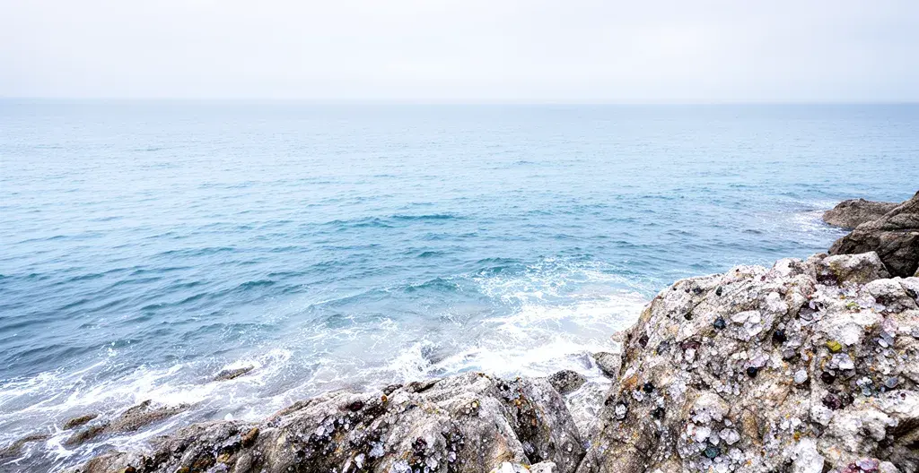 Vagues douces sur rochers côtiers avec cristaux de sel marin visibles évoquant l'origine du magnésium marin